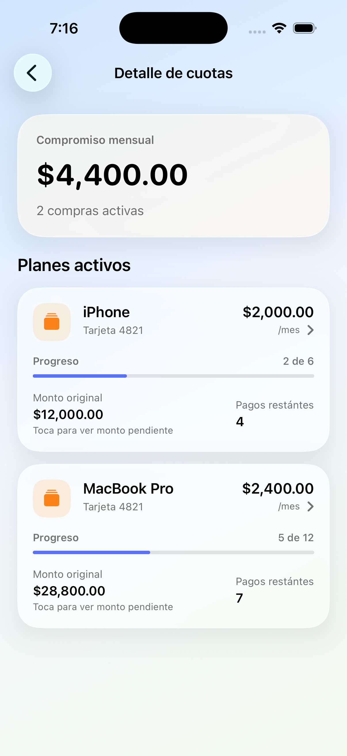 Vista de mensualidades en WiseSpend
