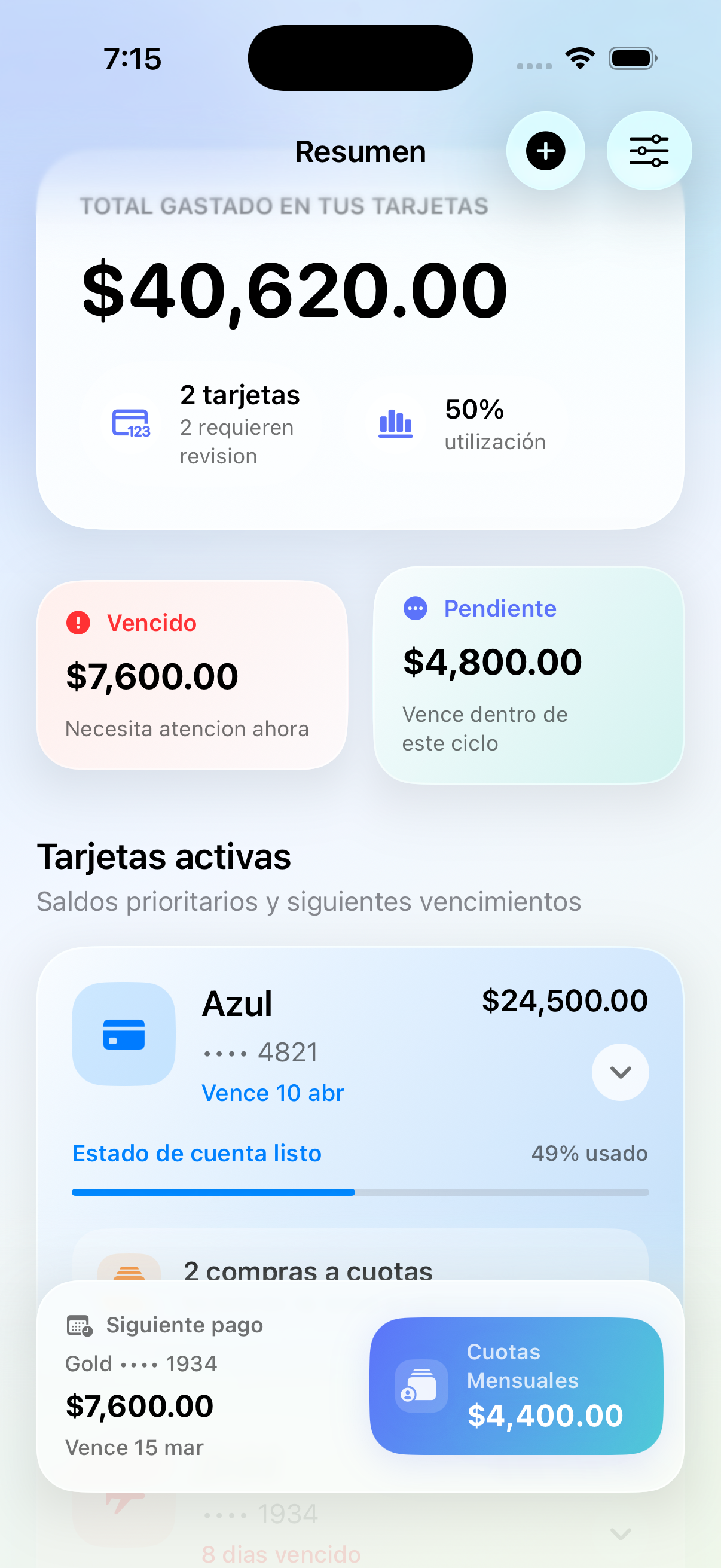 Vista general de WiseSpend